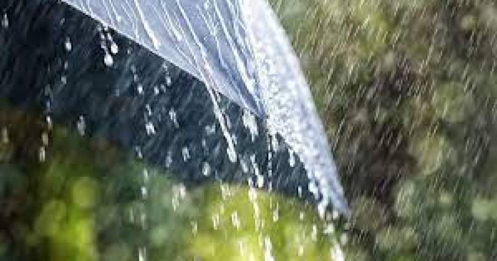 Дожди, временами грозы: прогноз погоды на субботу (КАРТА)