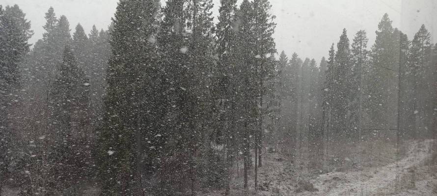 Сильные дожди со снегом обрушатся на север и запад Карелии в ближайшие часы