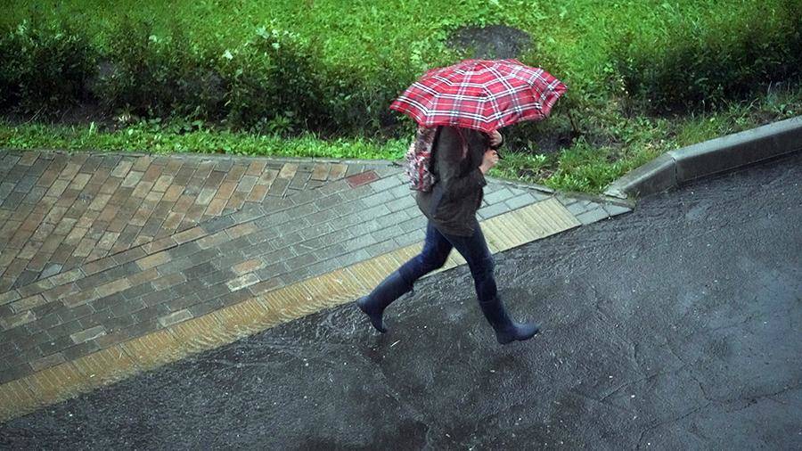 В Москве 8 мая стало самым дождливым днем в истории метеонаблюдений