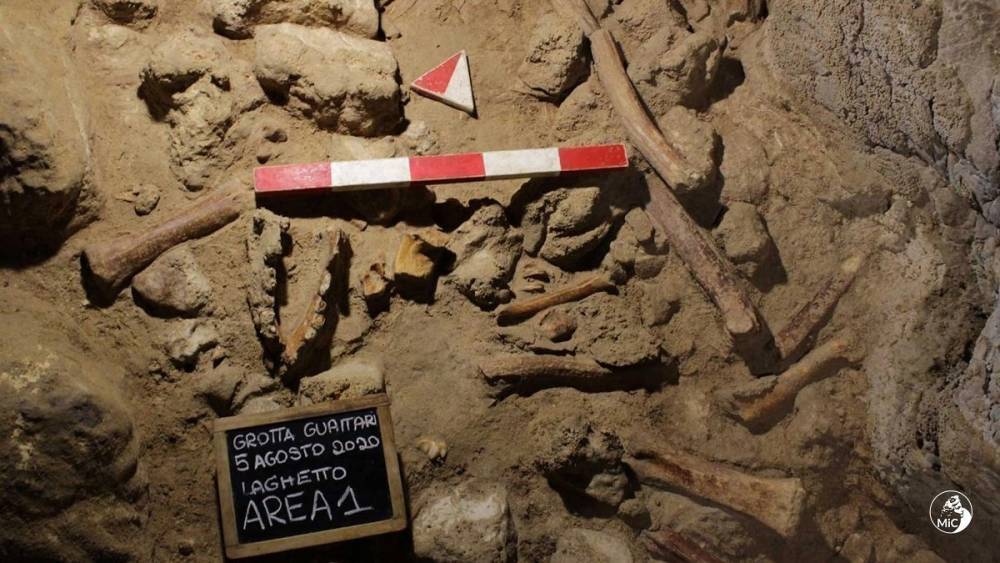 В Италии нашли останки 9 неандертальцев, которых могли поймать гиены
