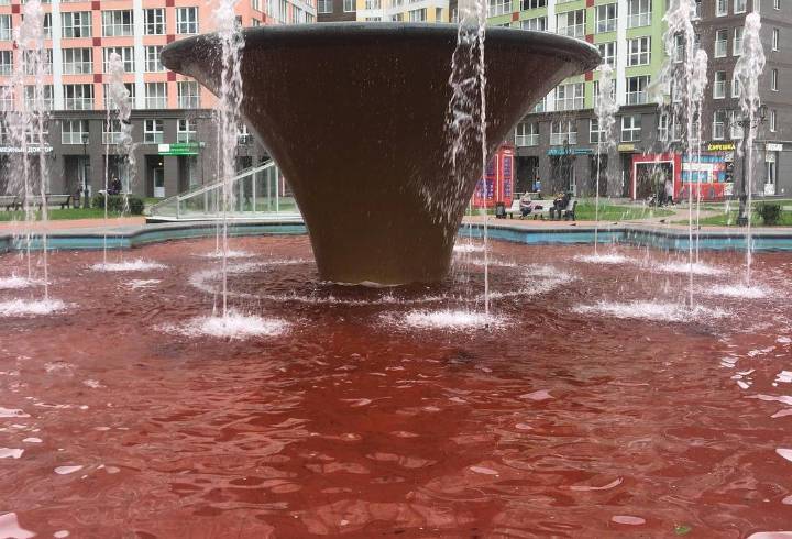 Вода в фонтане в Кудрово неожиданно стала «кровавой»