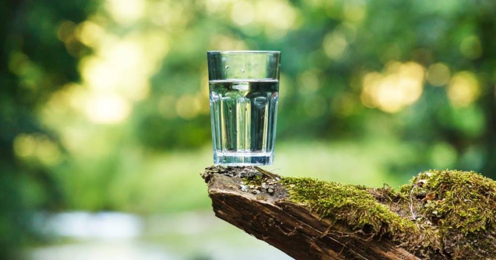 Диетолог рассказал о лучшей воде для питья