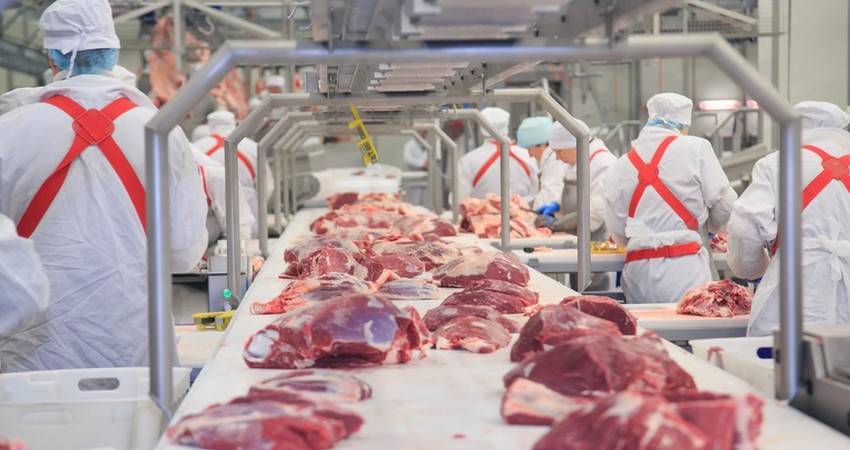 Экспорт мяса из России продолжает расти