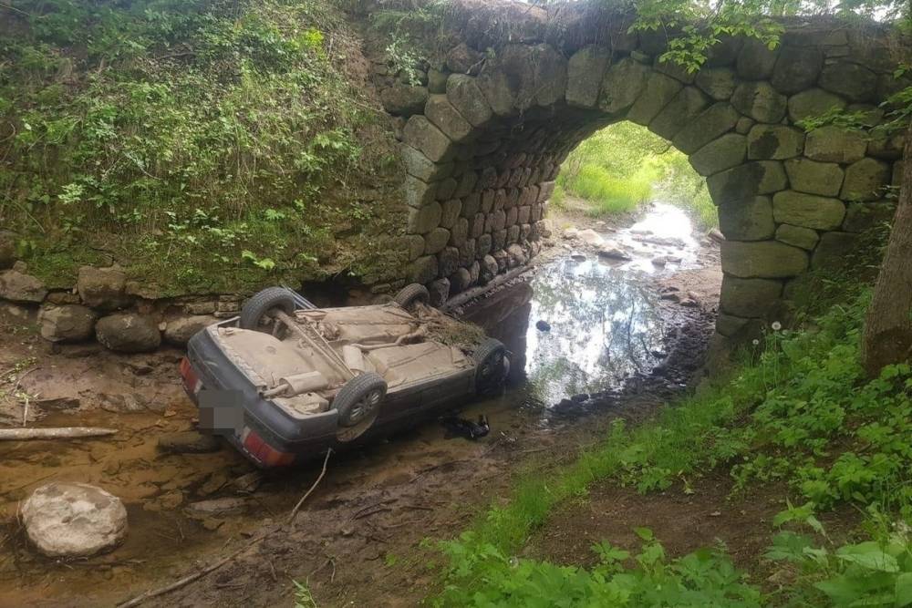 В Тверской области водитель легковушки задом скатился с моста и погиб