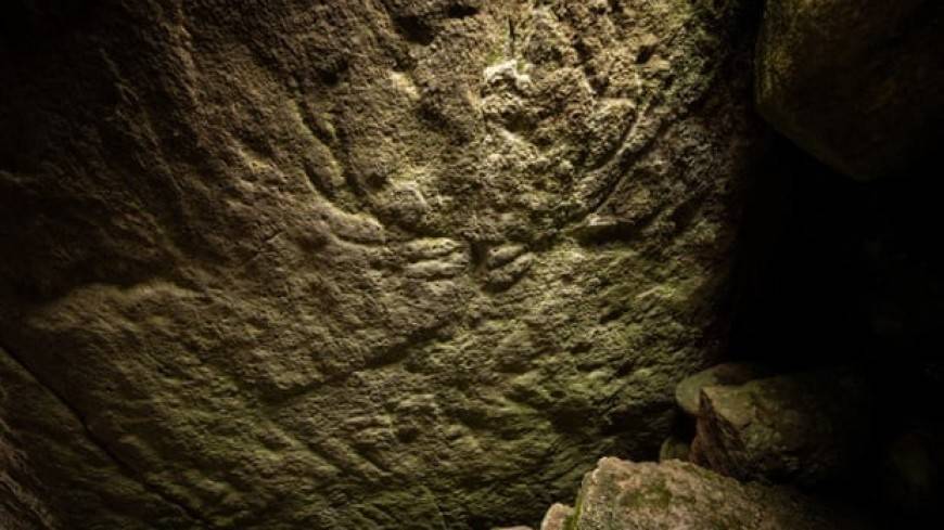 В шотландской гробнице нашли древнейшие изображения оленей