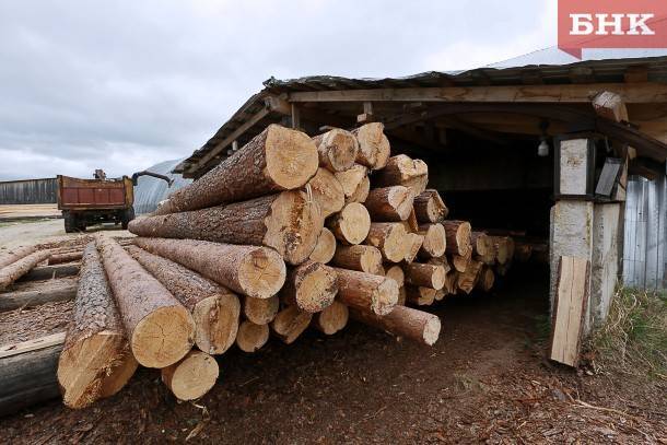 Жителя Летки обвинили в незаконной заготовке 450 кубометров древесины