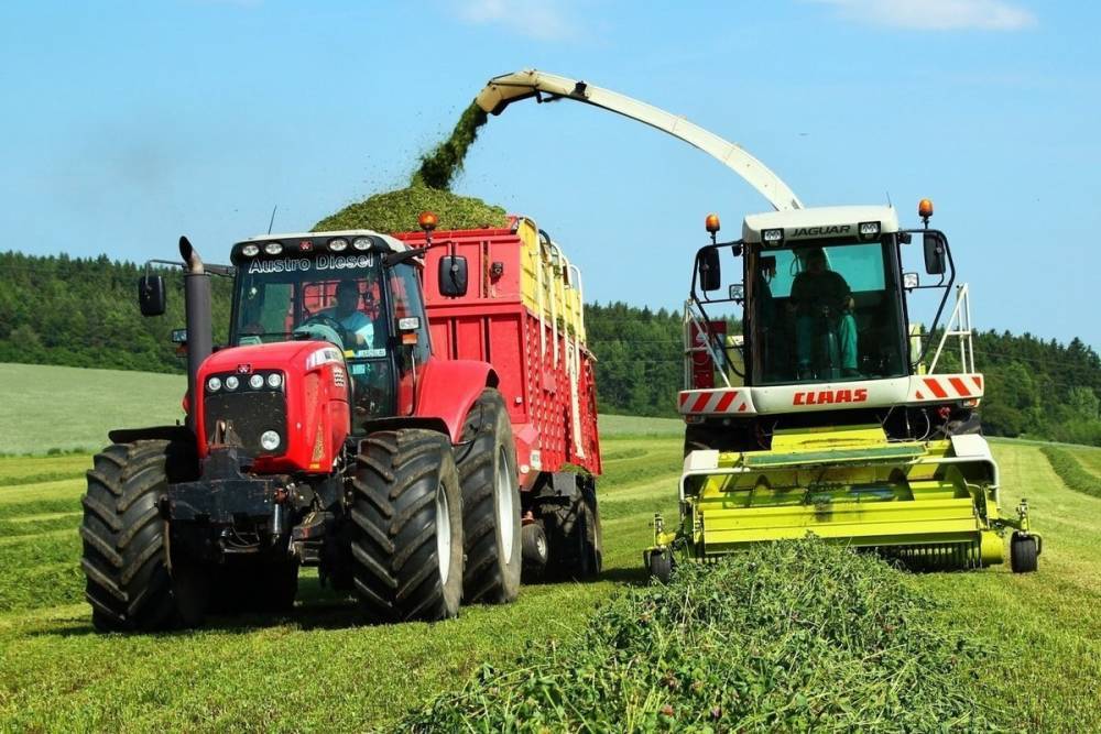 Нижегородские сельхозпроизводители начали косить травы