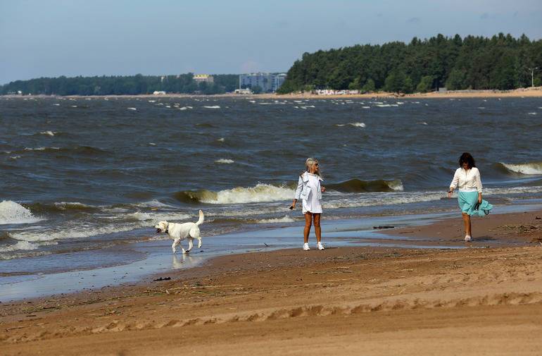 Названы городские пляжи Петербурга на которых можно купаться