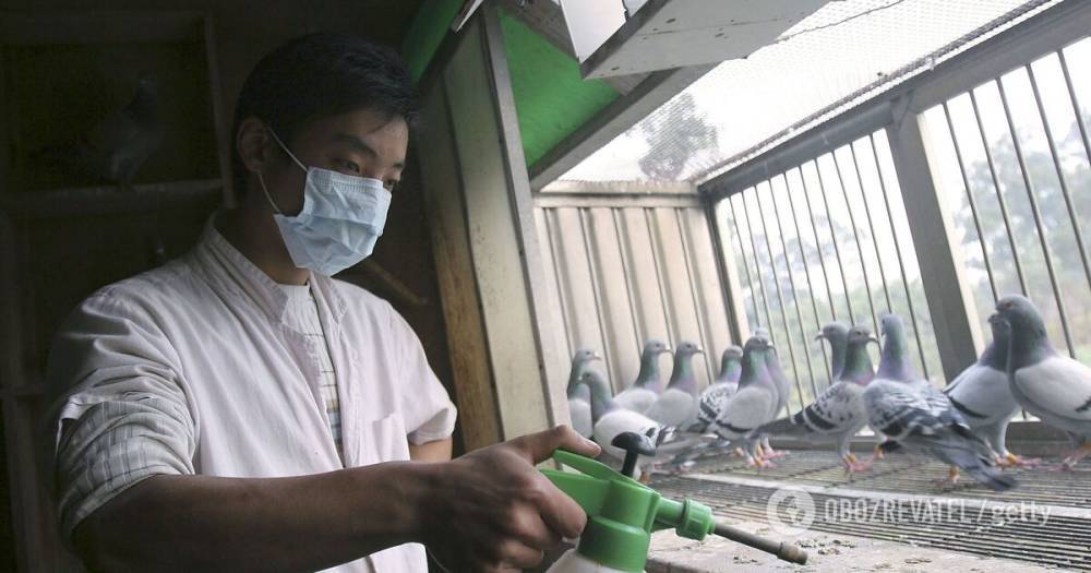 В Китае сообщили о первом в мире случае заражения штаммом птичьего гриппа H10N3