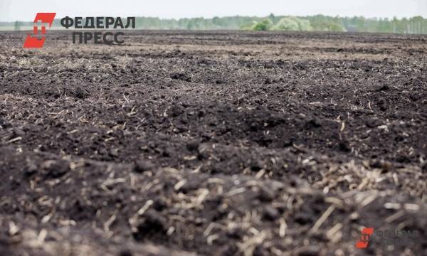 Четыре района Челябинской области закончили посевную