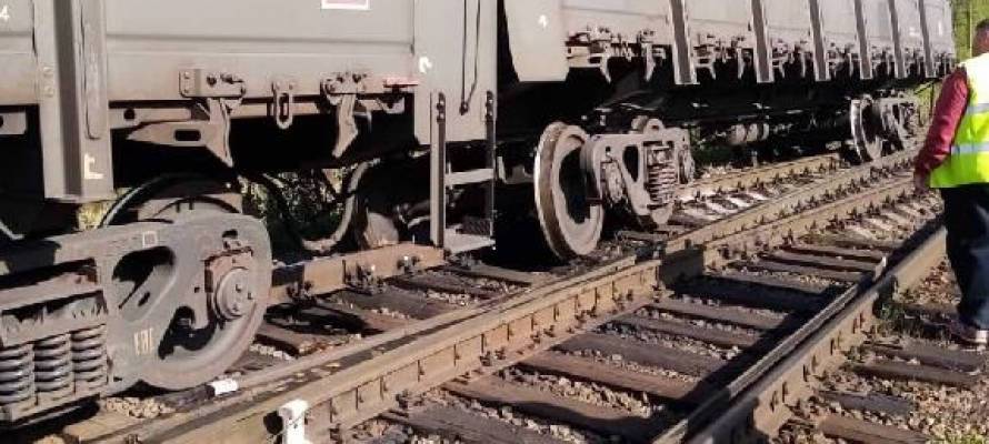 Несколько вагонов грузового поезда сошли с рельсов в Карелии
