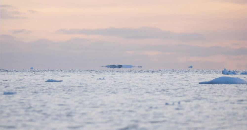 "Парящие айсберги": украинские полярники запечатлели необычное атмосферное явление (фото)