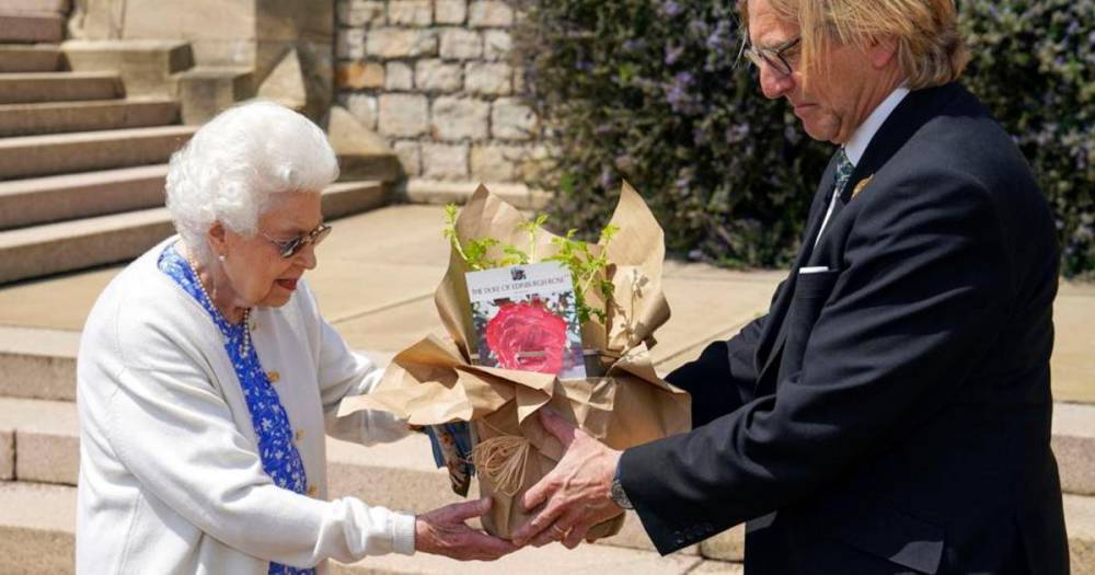 Елизавета II посадила новый вид роз, названных в честь принца Филиппа
