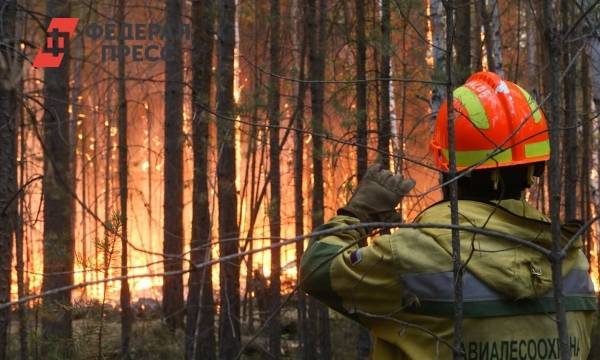 На западе Красноярского края ликвидировали два крупных пожара