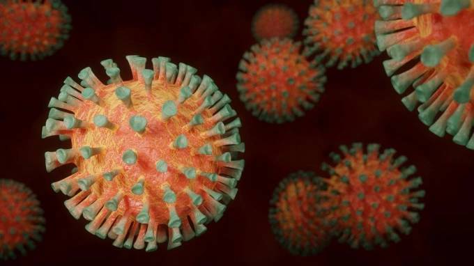 Рассчитана масса всех частиц коронавируса в мире