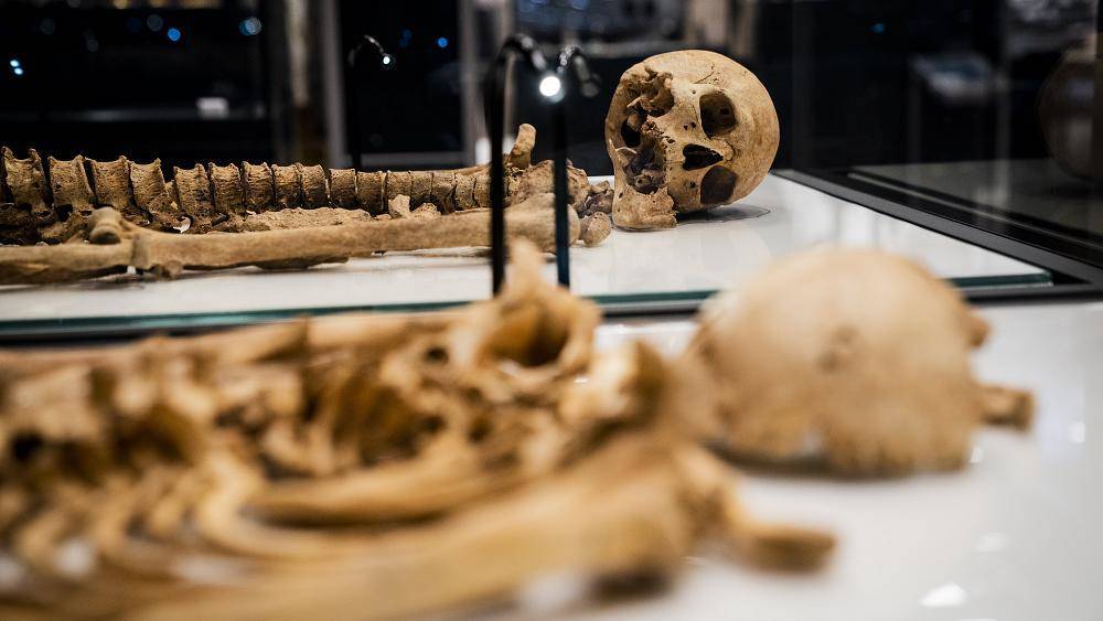 Национальный музей Дании воссоединил разлученных викингов-родственников