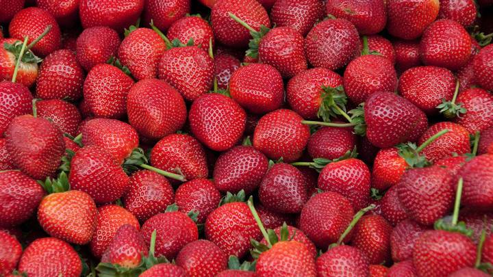 Сезон клубники: почему ягода дорожает и как правильно ее выбирать