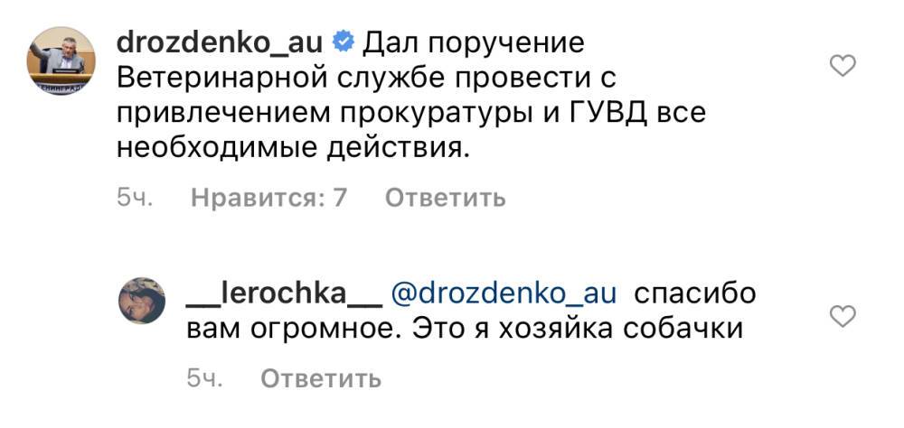 Дрозденко поручил разобраться в обстоятельствах нападения алабая в Новом Девяткино