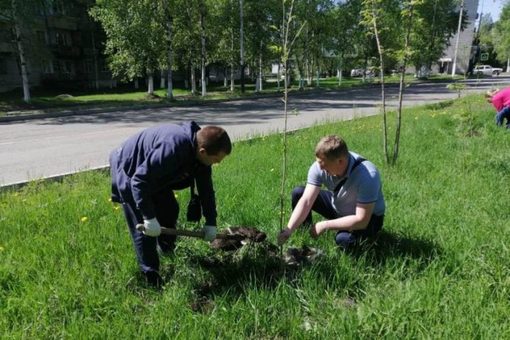 В Хабкрае высадили 12 тысяч деревьев в рамках акции «Сад памяти»