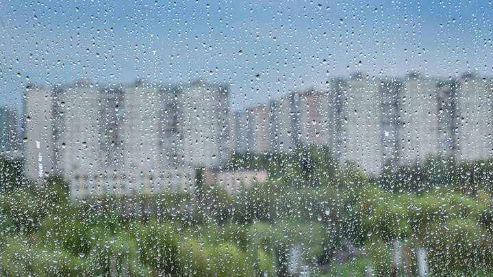 Дожди будут идти весь день: лето в Москве откладывается
