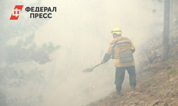 На Среднем Урале тушат крупный лесной пожар в болоте