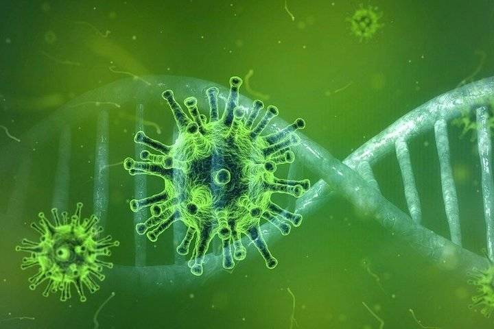 В России за сутки выявлено 12 505 новых случаев коронавируса