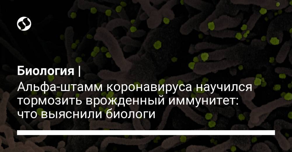 Биология | Альфа-штамм коронавируса научился тормозить врожденный иммунитет: что выяснили биологи