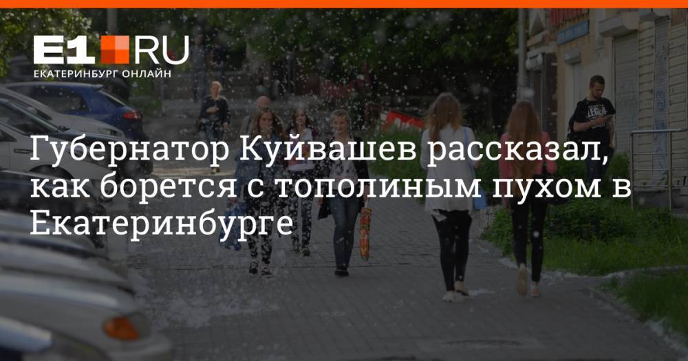 Губернатор Куйвашев рассказал, как борется с тополиным пухом в Екатеринбурге