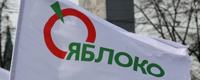 В СМИ оценили шансы петербургского «Яблока» на победу в выборах в ЗакС