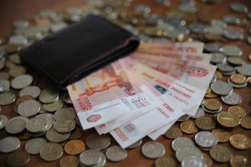 Граждане РФ хотят безусловный доход в 30 тыс. рублей в месяц