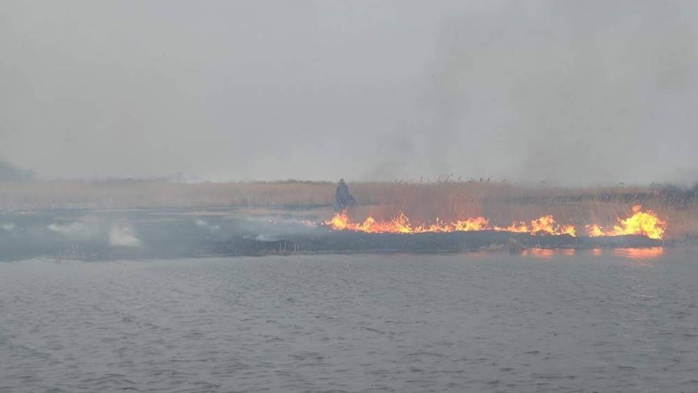 В промзоне Челябинска из-за загоревшегося мусора от огня пострадали четыре автомобиля