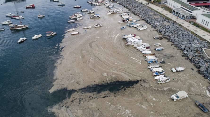 Турция предупредила об экологической катастрофе, угрожающей Черному морю (видео)
