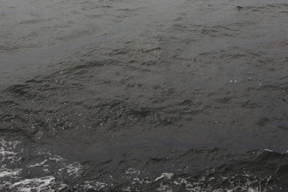 На Сахалине проводят проверку из-за разлива нефтепродуктов