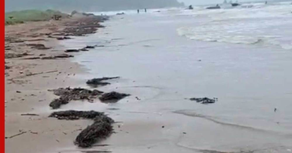 На побережье Сахалина обнаружили следы нефтепродуктов