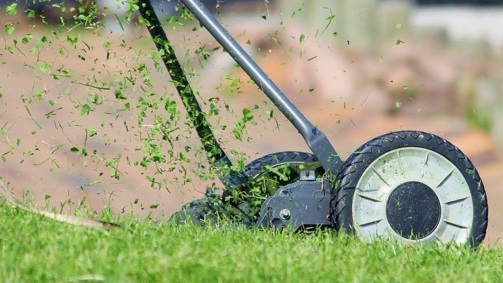Гипертоникам посоветовали стричь траву на даче для снижения давления