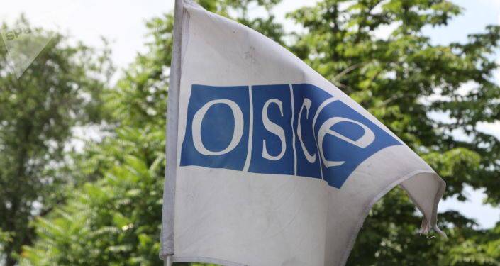 Генсек ОБСЕ прибывает в Грузию с официальным визитом