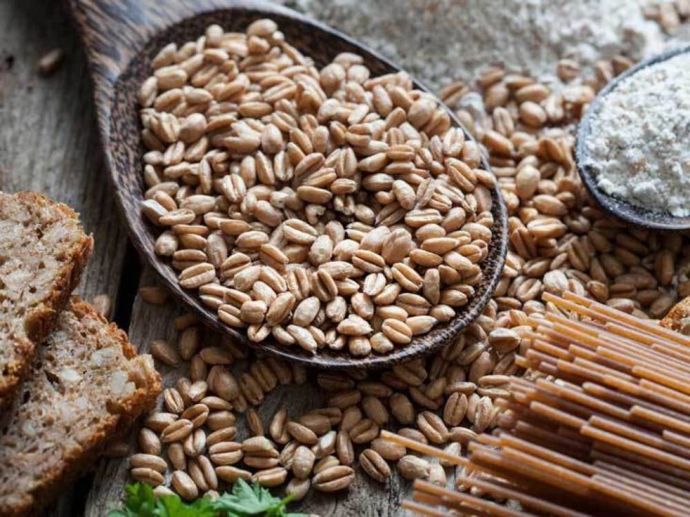 В Краснодарском крае в новом учебном году школьников начнут кормить кашей из пшеничной полбы – Учительская газета