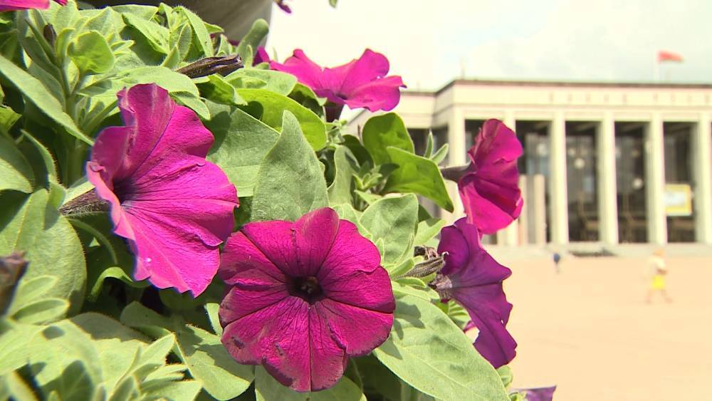 Более миллиона цветов украсили белорусскую столицу