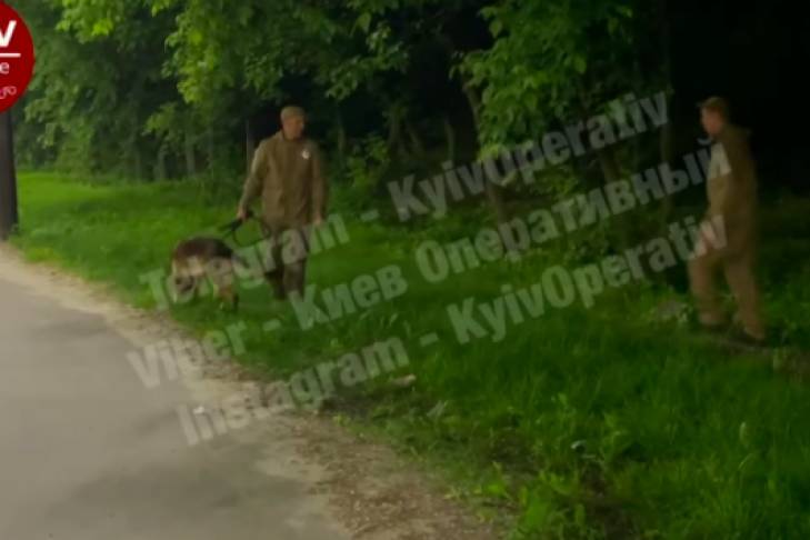 В Киеве в кустах возле АЗС обнаружили обнаженное женское тело: очевидец раскрыл жуткие детали