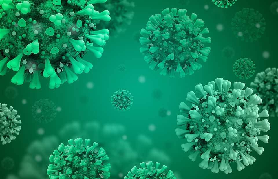 Исследование: индийская мутация коронавируса удваивает риск госпитализации и мира