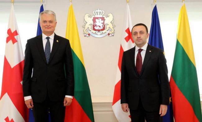 «Дежурные заявления»: что кроется за визитом президента Литвы в Грузию?