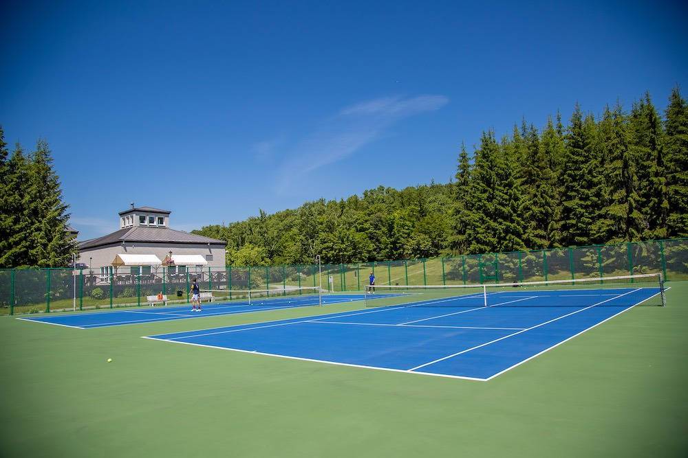 Сборная России по теннису будет тренироваться перед Токио-2020 на Сахалине