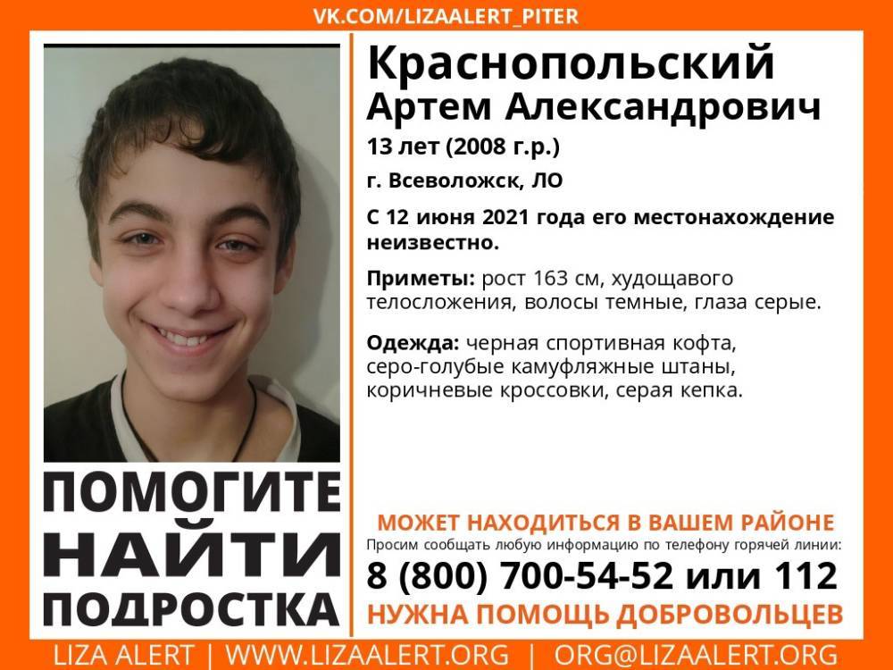 Во Всеволожске без вести пропал 13-летний мальчик