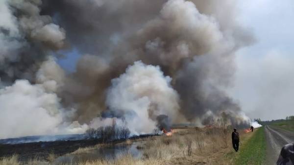 В Югре продолжают гореть леса: в округе действуют семь лесных пожаров