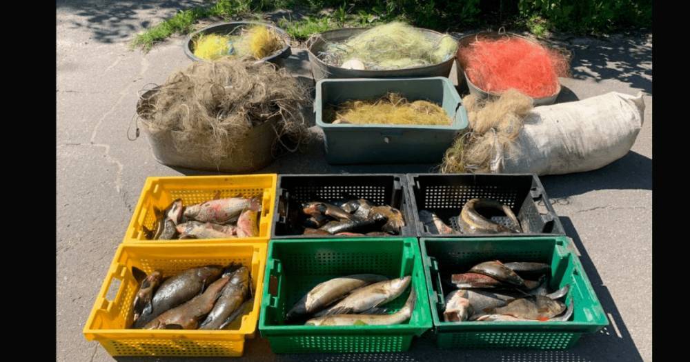 1,5 тонны рыбы: браконьеров в Киевской области выслеживали с помощью дронов