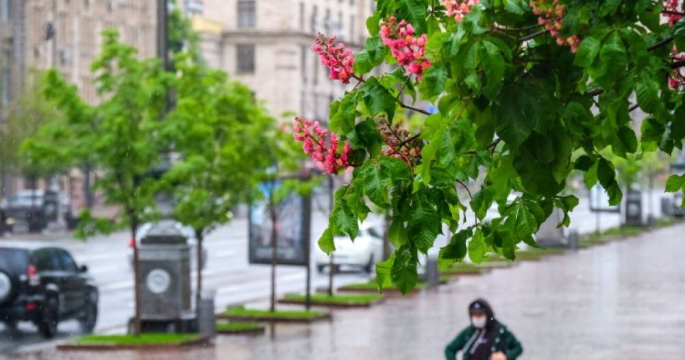 Тепло, облачно и дождливо — прогноз погоды в Украине на среду