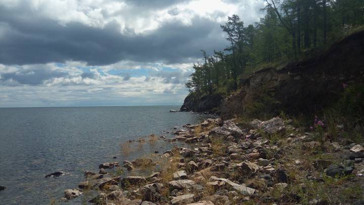 Тела пропавшей супружеской пары обнаружили на берегу озера в Приморье