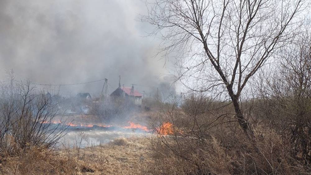 Курганская область получит из бюджета РФ почти ₽5 млн на борьбу с лесными пожарами