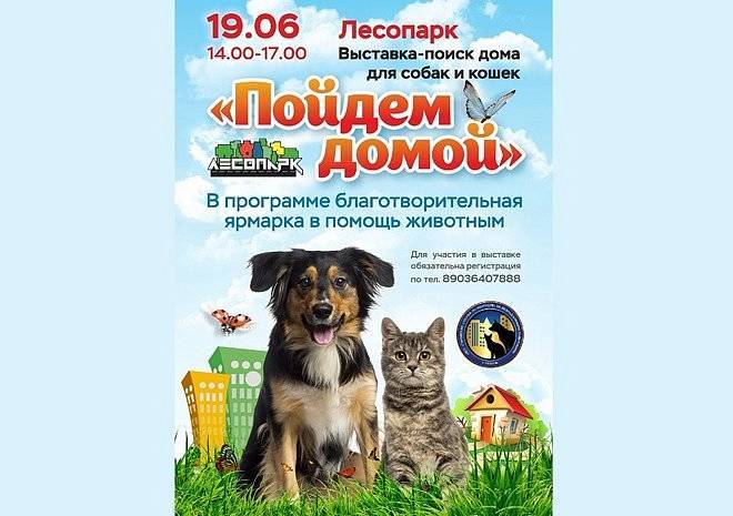 Рязанцев пригласили на выставку бездомных кошек и собак