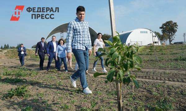 Алиханов раскрыл, сколько в Калининградской области бесхозной земли